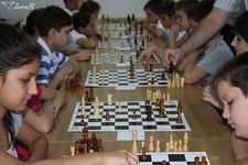 Sahul: de la hobby la...