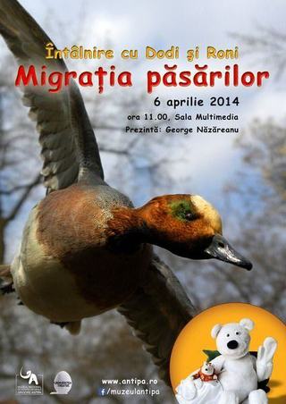 Intalnire cu Dodi si Roni - Migratia pasarilor