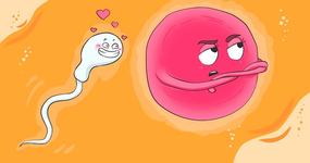 Studiul care schimba tot ce stiam despre reproducere: ovulul ALEGE spermatozoidul, nu invers