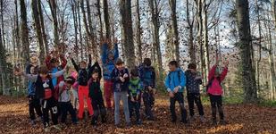 Mediul natural si influenta...