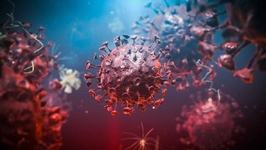 AVERTISMENT OMS: "Este posibil ca acest virus sa nu dispara niciodata. HIV nu a disparut"