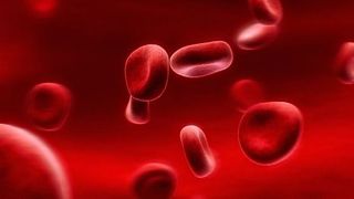 Incompatibilitatea de Rh in sarcina