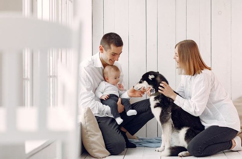 Cum pregatesti casa pentru venirea bebelusului atunci cand ai un catel sau o pisica