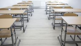 Elev injunghiat de zeci de...