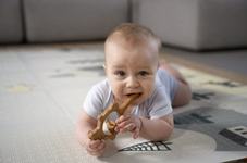 Jucarii de dentitie pentru...