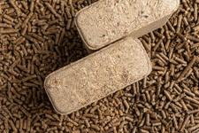 Brichetele de foc in...