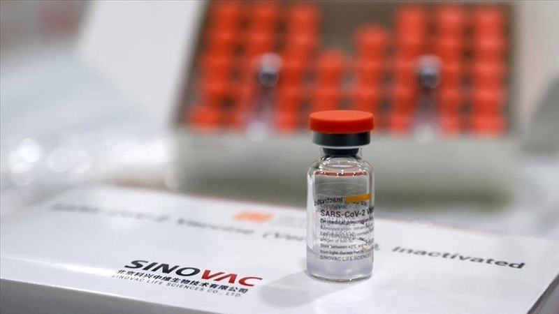 Studiu: Vaccinul produs de Sinovac este sigur pentru copii