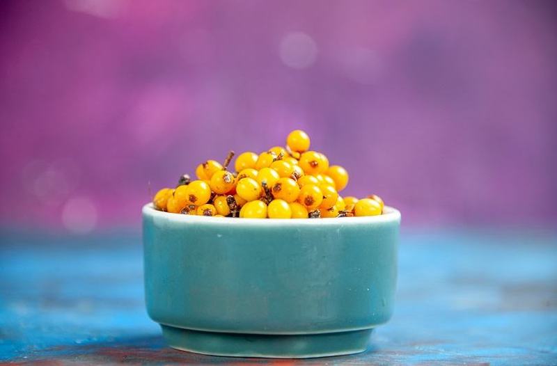 Retete cu catina pentru copii – imunitate naturala si protectie in sezonul rece