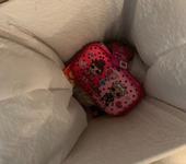 Lectia care o va ajuta...