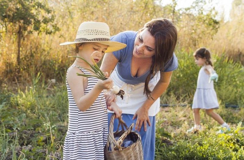 Cum invata copiii de unde vin legumele: gradinaritul, vacanta la bunici si fermele educative