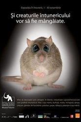 Expozitia temporara "In intuneric", Muzeul National de Istorie Naturala "Grigore Antipa"