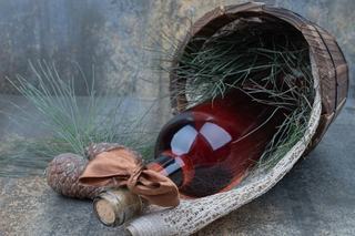 Sirop de muguri de brad: beneficii, reteta naturala si cum se prepara acasa