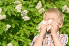 Alergii de primavara la copii. Cum le recunoastem