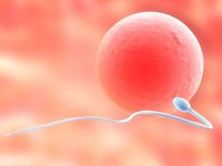 Teratospermia, cauza a infertilitatii la barbati