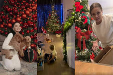 Cum si-au impodobit...