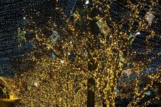 Targ de Craciun in Targu...