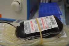 Poti dona sange in timpul sarcinii?