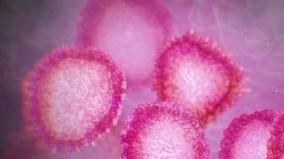 Alexandru Rafila, specialist in microbiologie: Cand va fi varful epidemiei de coronavirus