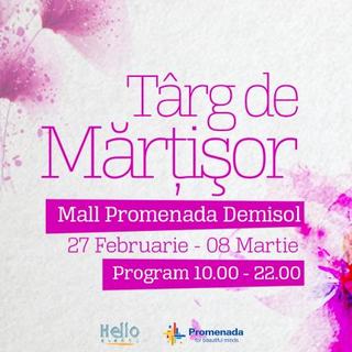 Targul Martisorului la Mall Promenada