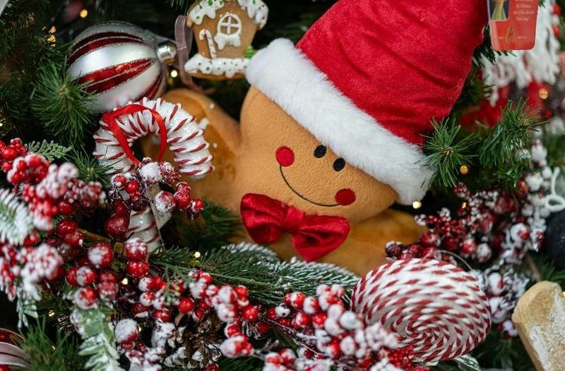 Targul de Craciun din Oradea 2025 – magia sarbatorilor in centrul orasului