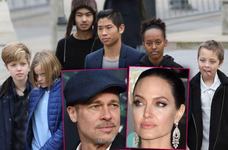 Razboiul pentru custodia copiilor cuplului Jolie-Pitt s-a incheiat