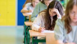 Regulile pentru examenul...
