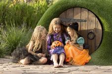 Printi, zane si aventuri: 5...