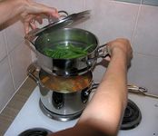 Gatitul la aburi
