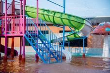 Tragedie intr-un parc...