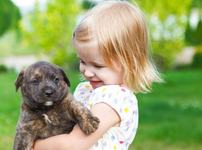 5 lucruri de care trebuie sa tii cont cand vrei sa ii iei copilului un animal de companie