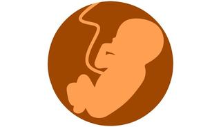 De ce isi doneaza gravidele placenta la nastere? ”Este considerata o comoara”