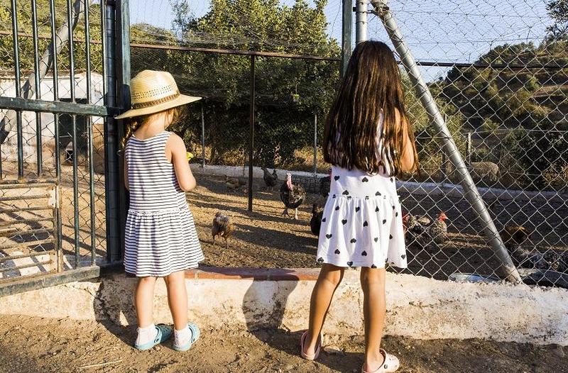 Bunicii si nepotii in vacanta de vara: cum transformam timpul petrecut la tara intr-o experienta educativa