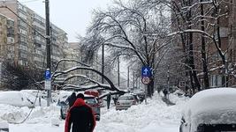 Adolescenta de 16 ani, in...