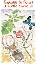 Expozitia Lumea Insectelor, 13 - 28 octombrie, Muzeul Antipa