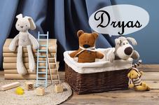 Dryas, un nume rar pentru...