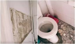 Palatul Copiilor din Arad,...