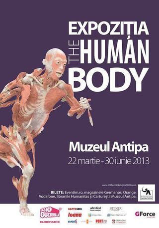 Expozitia The human body, Muzeul Antipa