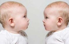 Top nume pentru gemeni