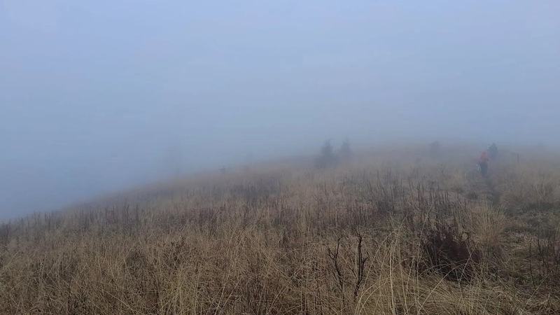 O mama si-a lasat cei doi copii singuri pe munte ca sa urce pe varf. Turistii i-au gasit in ceata, dupa ce au auzit plansete