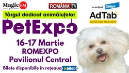 Show de moda canina, prezentare de rase canine romanesti si internationale si sedinte foto gratuite pentru pisici si catei cu stil la PetExpo!