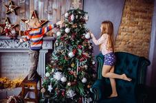 Bradul de Craciun:...