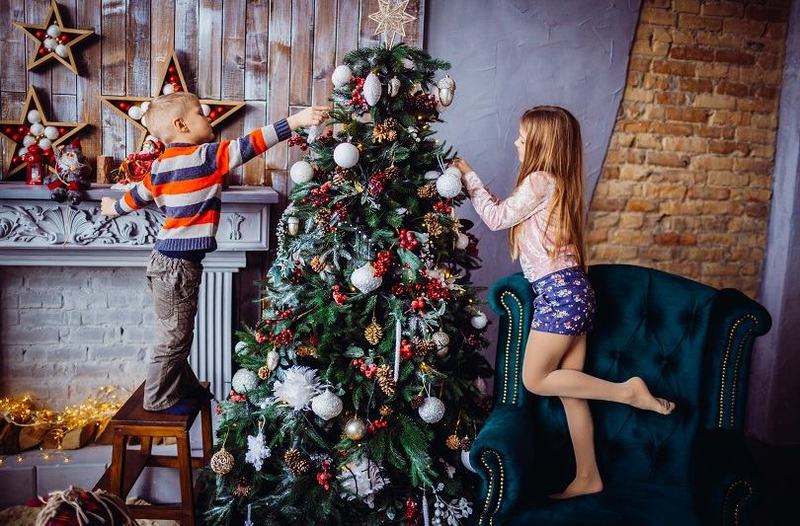 Bradul de Craciun: semnificatii, obiceiuri si trucuri ca sa reziste mai mult in casa