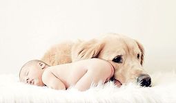 Poze de neuitat cu...