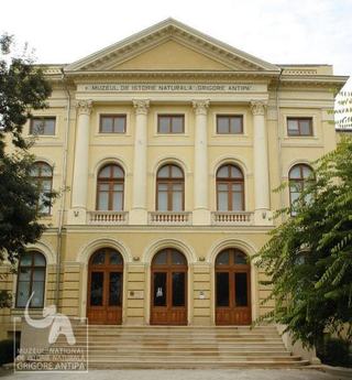 Academia Copiilor - Vara 2013, Muzeul Antipa