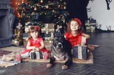 Ce faci cand copilul cere...