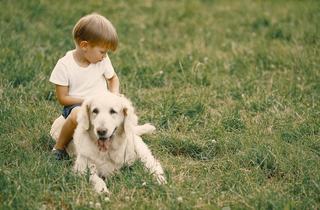 Capusele apar primavara: riscuri pentru copii si masuri esentiale de preventie