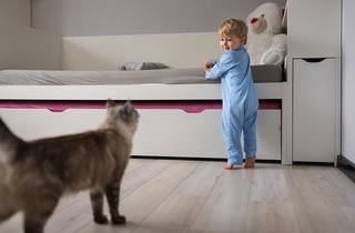 Copiii si animalele de companie: cum influenteaza imunitatea si dezvoltarea celor mici