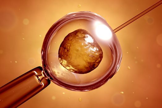 Un numar de 10 clinici vor derula in acest an Programul gratuit de fertilizare in vitro si embriotransfer al Ministerului Sanatatii