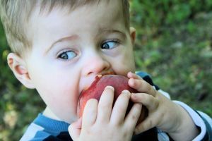 Intoleranta copiilor la fructoza
